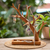 Wood jewelry stand, 'Sylvan Enchantment' - Tree-Shaped Natural Brown Jempinis Wood Jewelry Stand