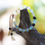 Multi-gemstone beaded bracelet, 'Clear Waves' - Bohemian Adjustable Multi-Gemstone Beaded Bracelet from Bali