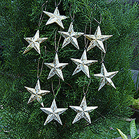 Wood ornaments, 'Twinkle Hopeful Star' (set of 10) - Set of 10 White Wood Star Ornaments with Golden Glitter