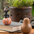 Wood sculpture, 'Cat on the Halloween Night' - Halloween-Themed Albesia Wood Cat and Pumpkin Sculpture