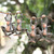Wood ornaments, 'Playful Jungle' (set of 4) - Set of 4 Hand-Painted Albesia Wood Monkey Ornaments