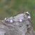 Gold-accented cultured mabe pearl station bracelet, 'Chic Pink' - Gold-Accented Cultured Mabe Pearl Silver Station Bracelet