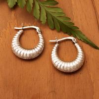 Sterling silver hoop earrings, 'Caterpillar Days' - Nature-Inspired High-Polished Sterling Silver Hoop Earrings