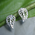 Sterling silver button earrings, 'Leaves of Wonder' - Leaf-Themed Openwork Sterling Silver Button Earrings