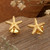 Gold-plated stud earrings, 'Golden Shore' - Ocean-Themed 18k Gold-Plated Brass Starfish Stud Earrings (image 2) thumbail