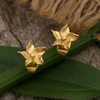 Gold-plated brass stud earrings, 'Star & Spring' - Spring-Inspired Star-Shaped Gold-Plated Brass Stud Earrings