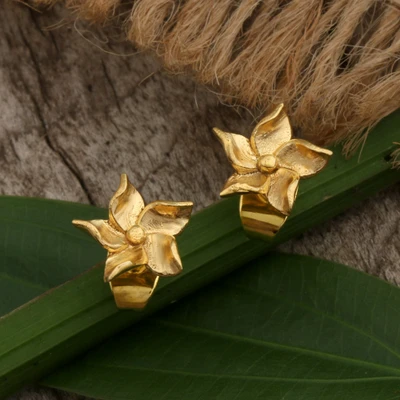 Gold-plated brass stud earrings, 'Star & Spring' - Spring-Inspired Star-Shaped Gold-Plated Brass Stud Earrings