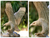 Wood sculpture, 'Ready to Fly' - Wood sculpture (image 2) thumbail