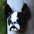 Wood mask, 'Sweet Boston Terrier' - Wood mask (image 2b) thumbail