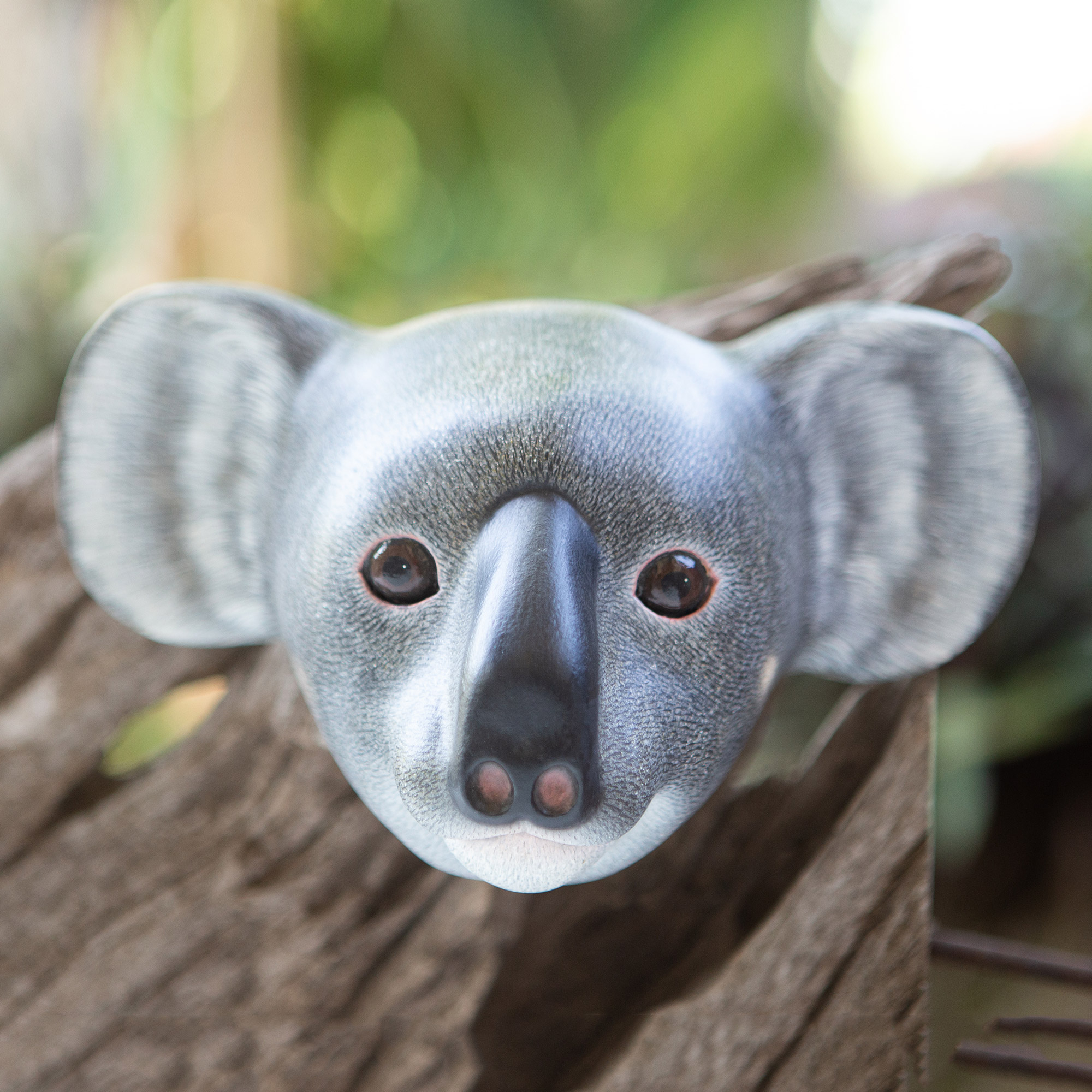 Wood mask, 'Cuddly Koala