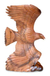 Wood sculpture, 'Eagle Eternal' - Wood sculpture thumbail