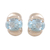 Blue topaz stud earrings, 'Cool Blue' - Blue topaz stud earrings