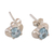Blue topaz stud earrings, 'Cool Blue' - Blue topaz stud earrings
