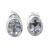Blue topaz stud earrings, 'Sky Duet' - Blue Topaz Earrings Sterling Silver Studs  (image 2a) thumbail