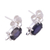 Iolite button earrings, 'Crystal Turtle' - Artisan Jewelry Earrings Sterling Silver and Iolite