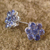 Iolith-Ohrringe - Florale Iolith-Ohrringe aus Sterlingsilber mit Knöpfen aus Indien
