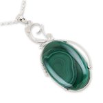 Malachite choker, 'Verdant India' - Sterling Silver Choker Malachite Necklace