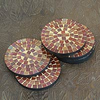 Glass coasters, 'Earth's Vanity' (set of 6) - Round Glass Tile Coasters Handcrafted in India (set of 6)