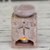Soapstone oil warmer, 'Agra Owls' - Soapstone oil warmer Hand-carved thumbail