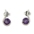 Amethyst drop earrings, 'Grape Droplet' - Amethyst and Sterling Silver Indian Earrings thumbail