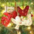 Wool ornaments, 'Christmas Wishes' (set of 6) - White and Red Animal Themed Felt Ornaments (Set of 6) (image 2b) thumbail