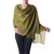 Wool shawl, 'Valley of Kashmir in Sage' - Soft Sage Green Woven Wool Shawl Crafted in India