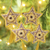 Beaded ornaments, 'Purple Star' (set of 4) - Handcrafted Beaded Purple Christmas Star Ornaments Set of 4 (image 2b) thumbail