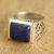 Lapis lazuli single stone ring, 'Gracious Blue' - Sterling Silver Lapis Lazuli Ring with Nature Motif (image 2) thumbail