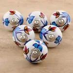 Ceramic cabinet knobs, 'Vibrant Beauty' (set of 6) - Ceramic Cabinet Knobs Floral (Set of 6) from India