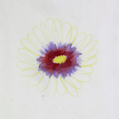 Schal aus Seidenmischung - Handbemalter Seidenmischschal Aster Blossom aus Indien