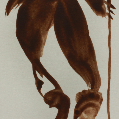 'Hope' - Retrato de una mujer de 4 x 7,5 pulgadas en marrón sobre blanco