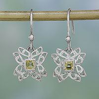 Citrine dangle earrings, 'Jali Charm' - Citrine and Sterling Silver Dangle Earrings from India