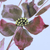 'Artistic Grace' - Modern Mixed Media Painting of Flowers in Pastel Tones (image 2b) thumbail