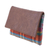Leather accent cotton clutch, 'Vibrant Checks' - Leather Accent Cotton Clutch with Checks from India (image 2c) thumbail