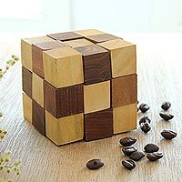 Featured review for Wood puzzle, Test Your Mind