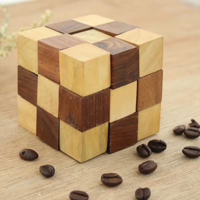 Wood puzzle, 'Test Your Mind' - Handcrafted Cube-Shaped Wood Puzzle from India