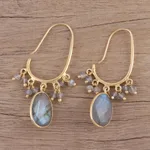 Gold plated labradorite dangle earrings, 'Regal Beauty' - Gold Plated 13 Carat Labradorite Dangle Earrings