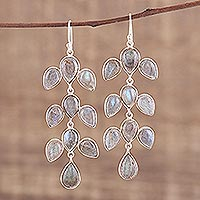 Labradorite dangle earrings, 'Leaf Cascade' - Dangle Earrings with Labradorite and Silver