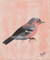 'Wintry Evening' - Signed Painting of a Sparrow in Pink from India thumbail