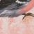'Wintry Evening' - Signed Painting of a Sparrow in Pink from India (image 2b) thumbail