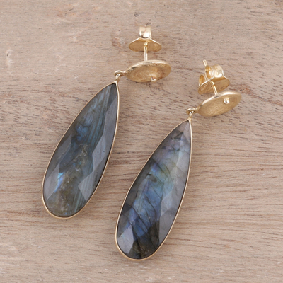 Gold accented labradorite dangle earrings, 'Northern Drops' - Gold Plated 28-Carat Labradorite Earrings from India