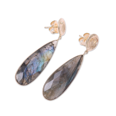 Gold accented labradorite dangle earrings, 'Northern Drops' - Gold Plated 28-Carat Labradorite Earrings from India