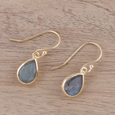 Gold plated labradorite dangle earrings, 'Fantastic Drops' - Gold Plated 4-Carat Labradorite Dangle Earrings from India