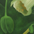 'Nature's Delight' - Signed Nature-Themed Painting of Flowers from India (image 2b) thumbail