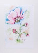 'Poppy Charm' - Signed Realist Poppy Flower Painting from India