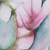 'Cherry Blossom' - Signed Realist Painting of Cherry Blossoms from India (image 2b) thumbail