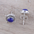 Lapis lazuli stud earrings, 'Morning Crowns' - Lapis Lazuli Stud Earrings from India