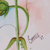 'Yellow Wonder' - Signed Realist Painting of a Yellow Flower from India (image 2c) thumbail