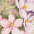 'Floral Bliss' - Signed Watercolor Painting of Pink Flowers from India (image 2b) thumbail