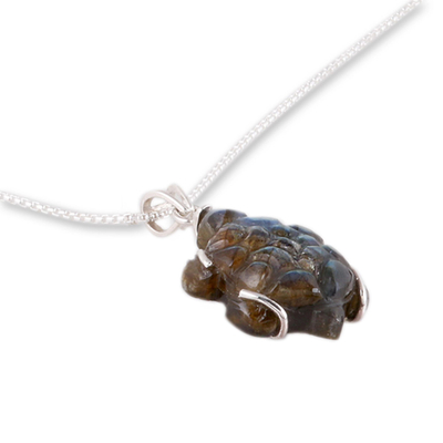 collar con colgante de labradorita - Collar con colgante de labradorita en forma de tortuga de la India